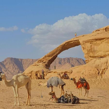 Wadi Rum Desert Camp Экстерьер фото