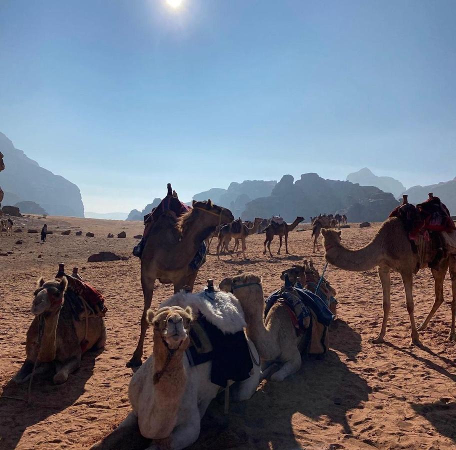 Wadi Rum Desert Camp Экстерьер фото