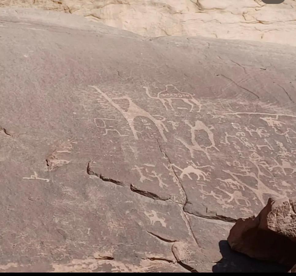 Wadi Rum Desert Camp Экстерьер фото