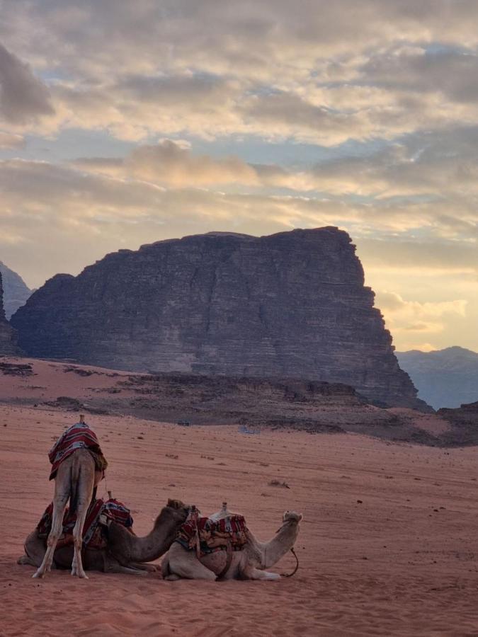 Wadi Rum Desert Camp Экстерьер фото